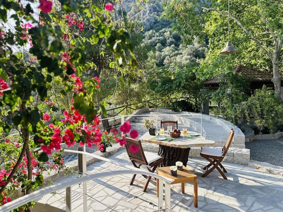Elia Junior Suite In Epidavros With Shared Pool Nea Epidhavros Bagian luar foto